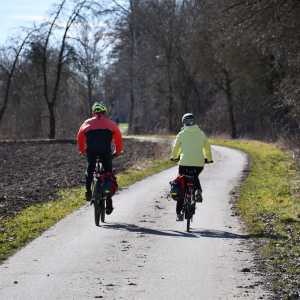 fahrrad, radler, weg, bäume, winter, herbst, fahrradtour, radfahren, bike, radfahrer, sport, radtour, freizeit, sportlich, landschaft, straße, radsport, radler, radler, fahrradtour, fahrradtour, radtour, radtour, radtour, radtour, natur, radtour